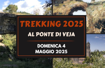 Al Ponte di Veja